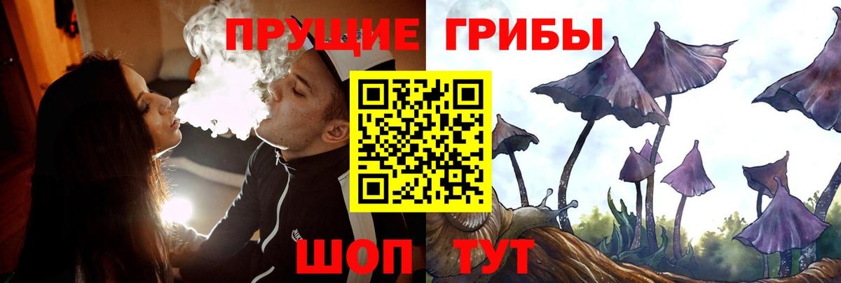 Псилоцибиновые грибы мухоморы  Вход с VPN  Аргун 